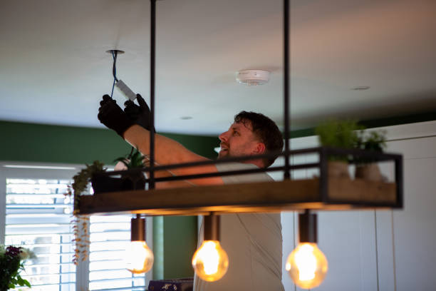 Best Licensed Electrician  in Cambridge, IL
